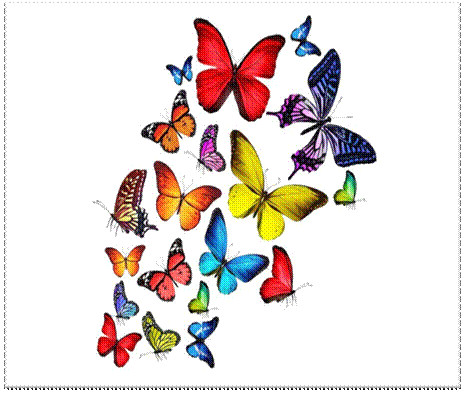 Бабочки Фото Детские